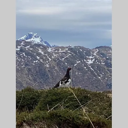 Borgvag - A Unique Seafront In The Heart Of Lofoten Holiday home *