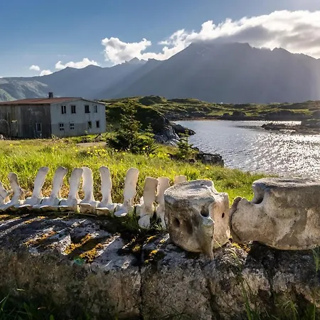 Borgvag - A Unique Seafront In The Heart Of Lofoten Holiday home *